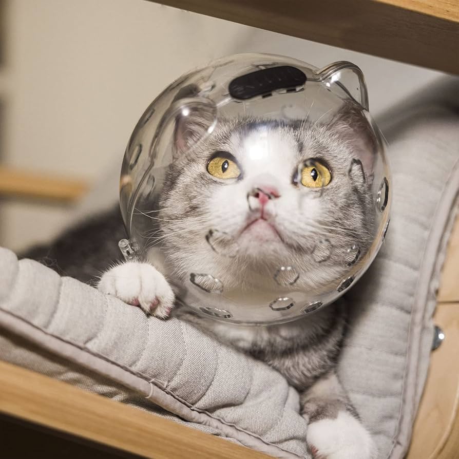 FELINE ASTRONAUT HELMET – FOR LUNAR RIOT CATS & ZERO-G MENACES