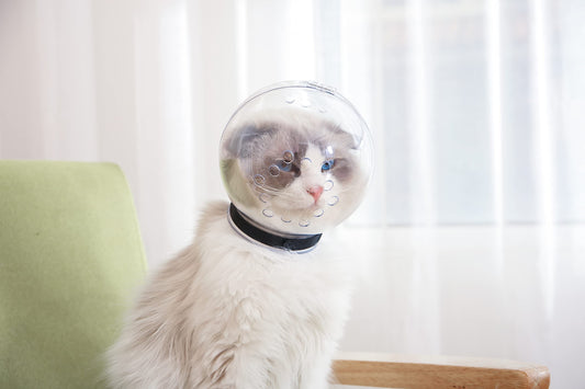 FELINE ASTRONAUT HELMET – FOR LUNAR RIOT CATS & ZERO-G MENACES