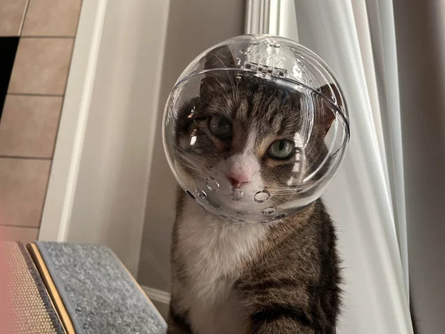 FELINE ASTRONAUT HELMET – FOR LUNAR RIOT CATS & ZERO-G MENACES